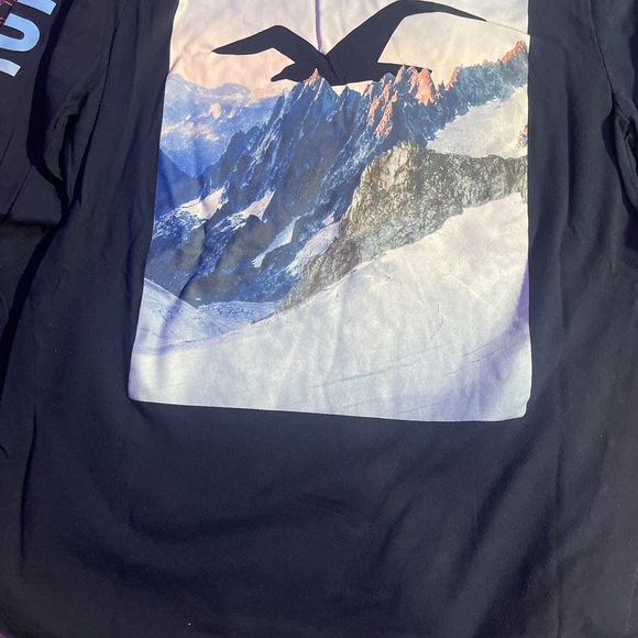 mens bundle shirt bundle! great value! hollister, american eagle, champion - Picture 10 of 15